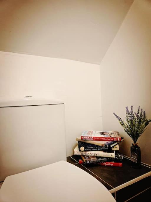 Holiday home 时尚的3室独立别墅，近海滩，mumbles Swansea