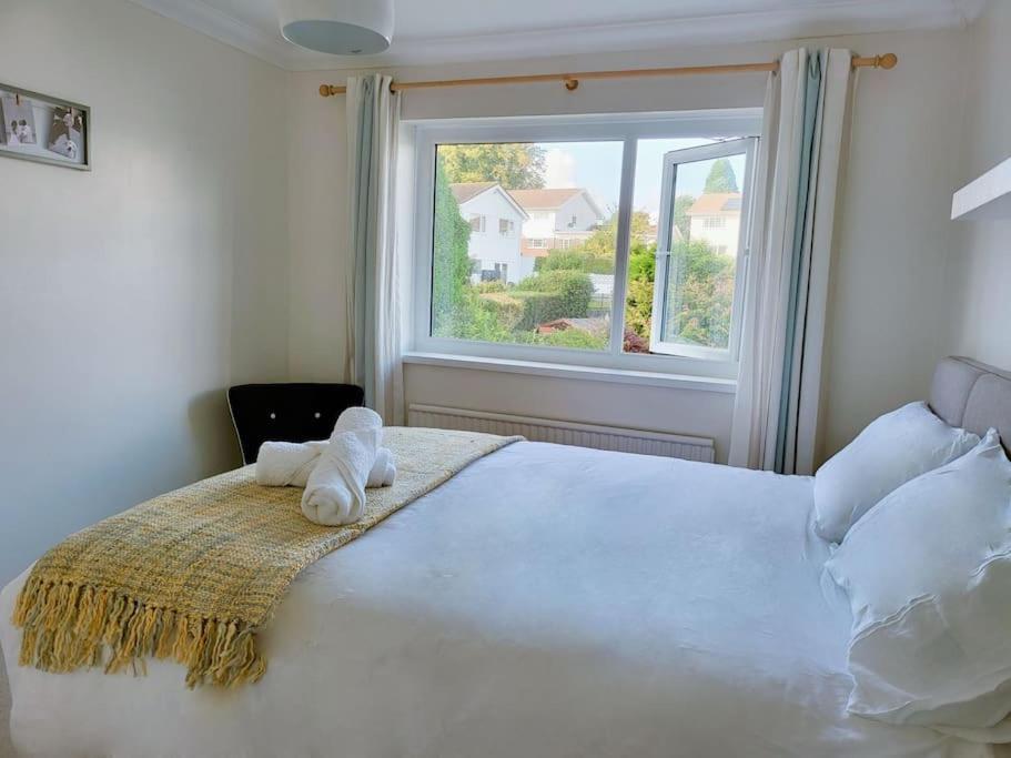 Holiday home 时尚的3室独立别墅，近海滩，mumbles *